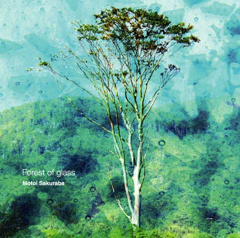 Forest of Glass CD cover
